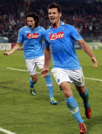 能与组织性 能与组织性